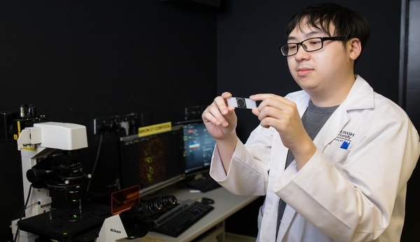 诺丁汉大学马来西亚分校申请费用是多少？详细说明